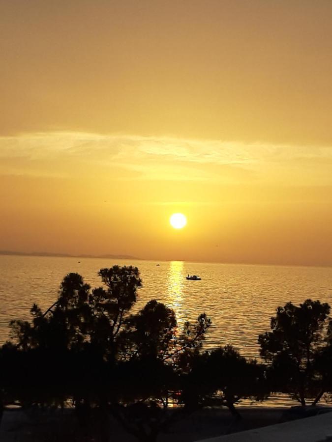 Sunlit Zadar Apartment *